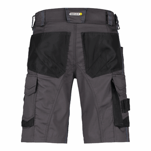 Alternative view of DASSY® Cosmic - Werkshort